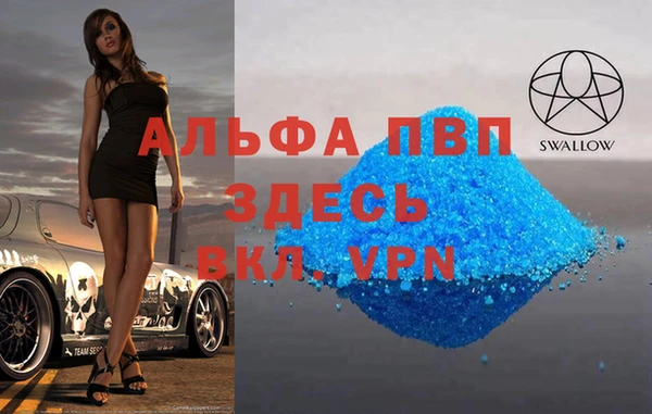крисы Алексин