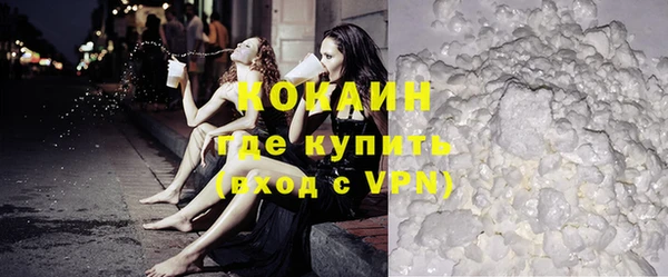 крисы Алексин