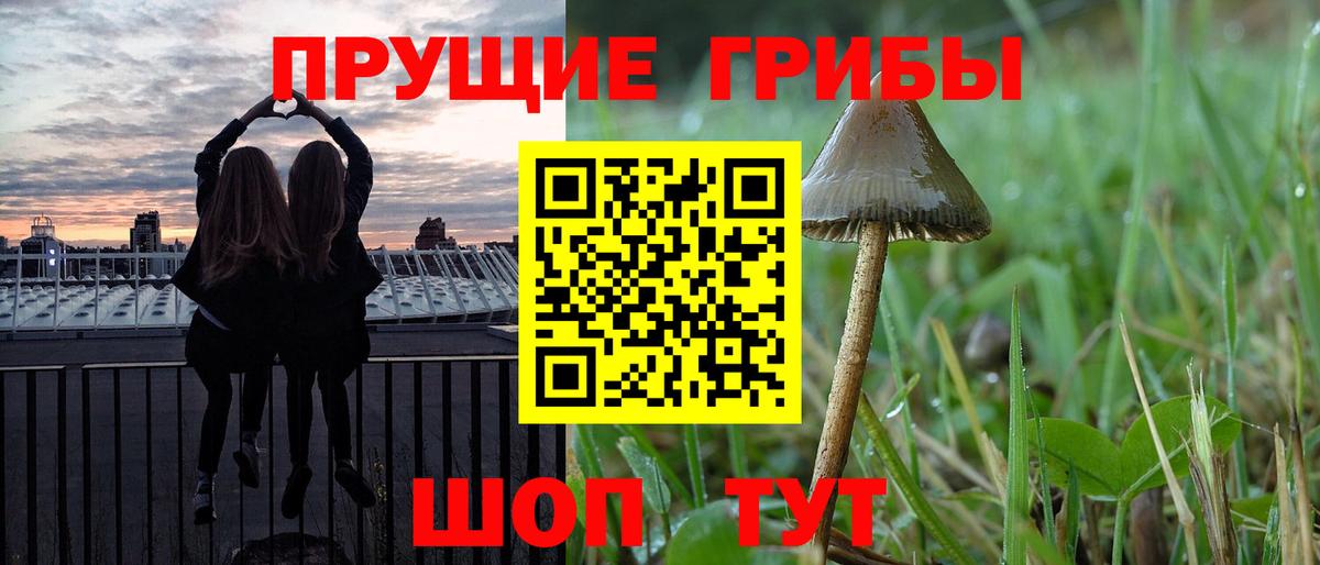 Галлюциногенные грибы прущие грибы Канск